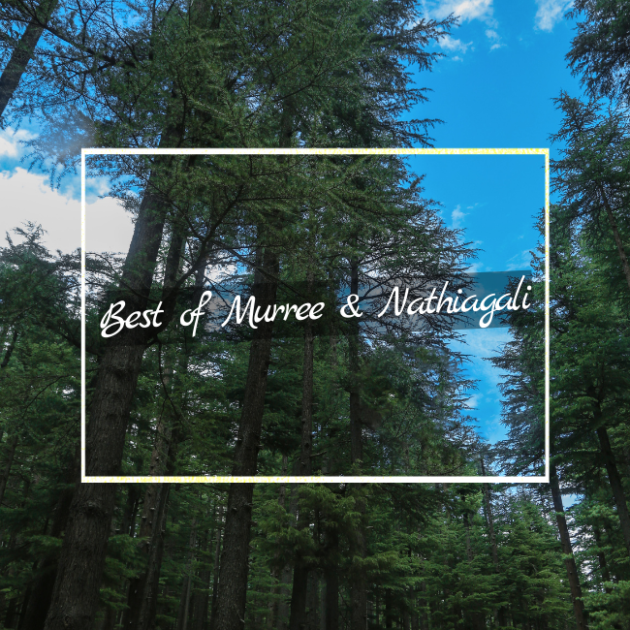 Best of Murree & Nathiagali tour packages pakistan