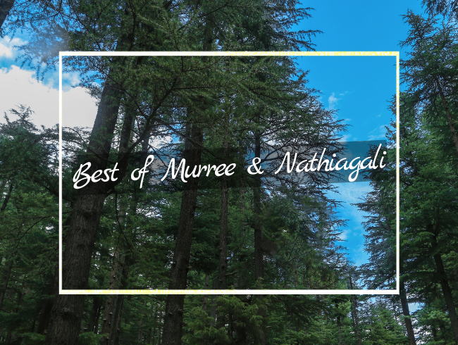 Best of Murree & Nathiagali tour packages pakistan