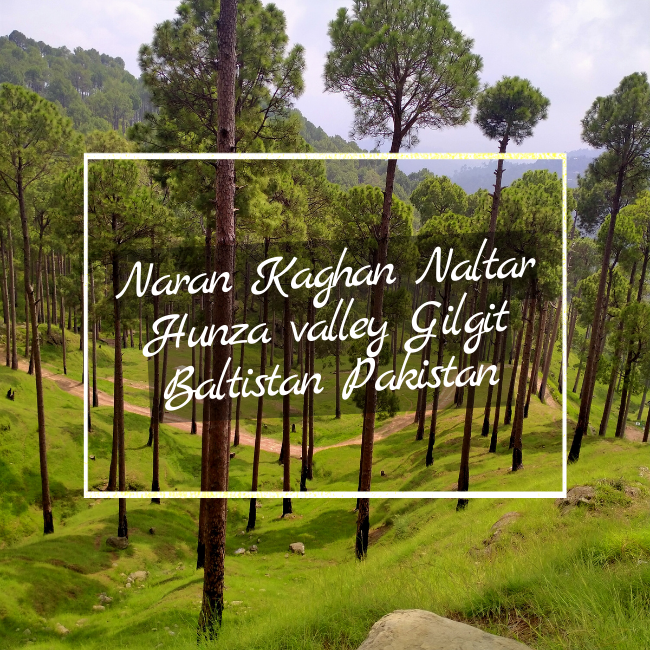 Naran Kaghan Naltar Hunza valley Gilgit Baltistan Pakistan