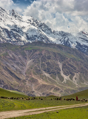 National_GOL_Park,_Chitral
