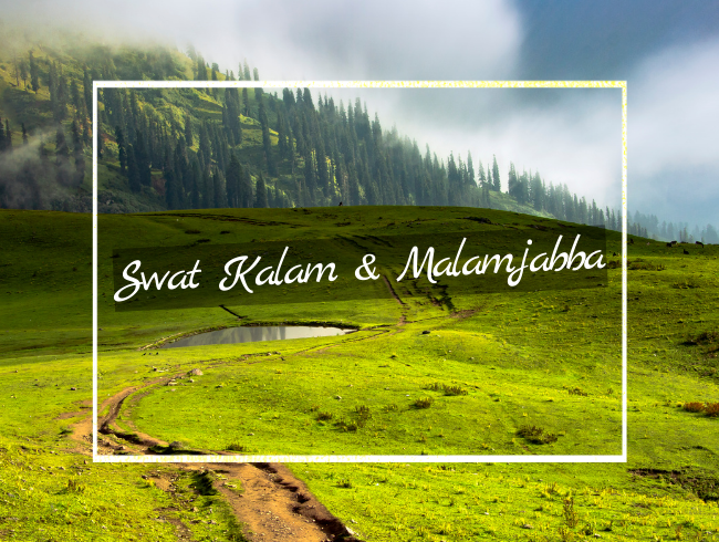 Swat Kalam & Malamjabba tour pakistan