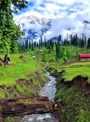 arrang kel ajk