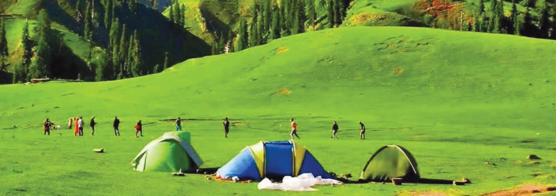 cropped-shogran