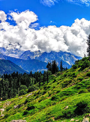 kalam