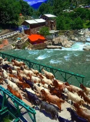 kutton waterfall jagran road