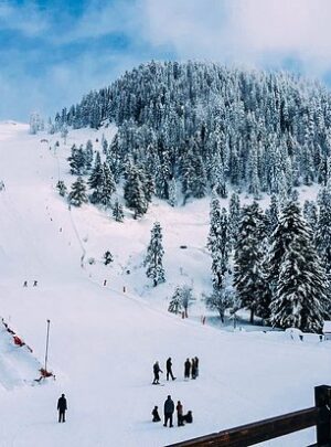 malam-jabba