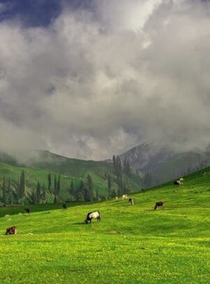naran kaghan