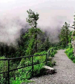 nathiyagali