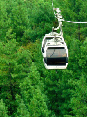 new murree