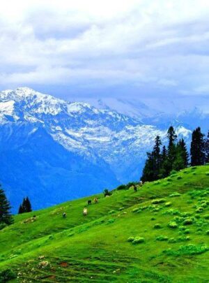 shogran valley