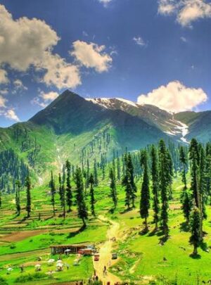 shogran