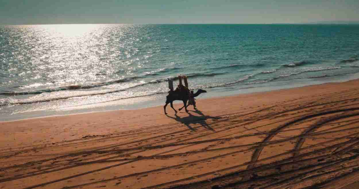 Turtle Beach Karachi - Tours Trips Travel Packages Guide