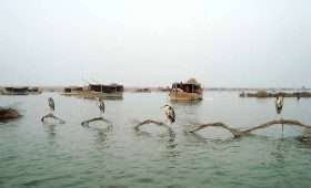 Manchar Lake Sindh5